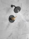 DELTA Nicoli Monitor 14 Series H2Okinetic Shower — Matte Black / Champagne Bronze