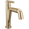 Champagne Bronze