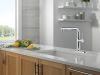 DELTA Daneri Single Handle Pull-Out Kitchen Faucet — Chrome