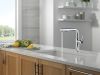 DELTA Daneri Single Handle Pull-Out Kitchen Faucet — Chrome