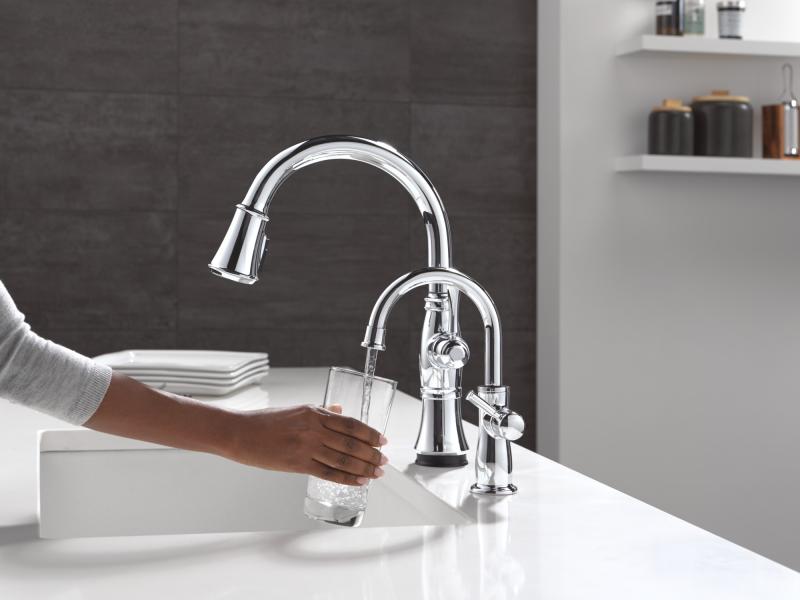 DELTA Other Traditional Beverage Faucet — Chrome