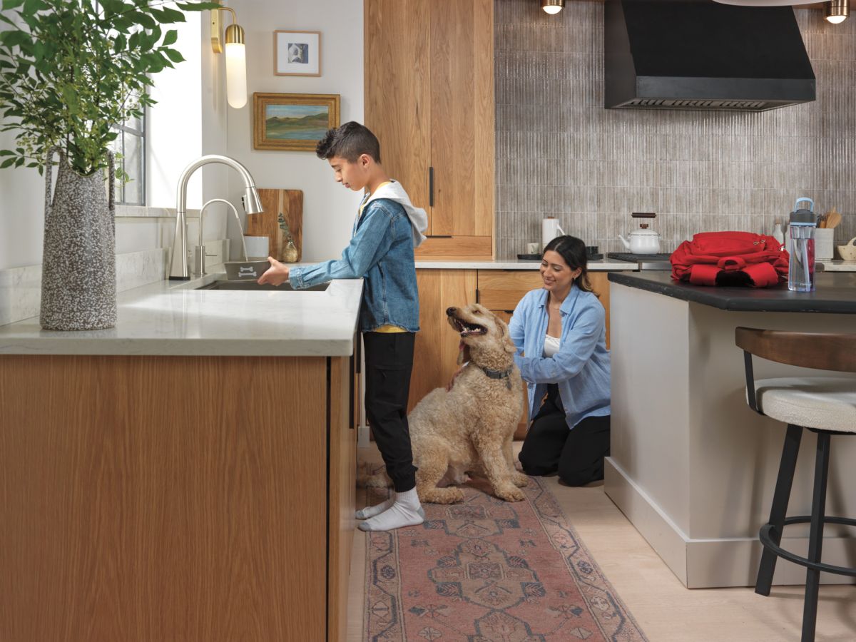 DELTA Lenta Single-Handle Pull-Down Kitchen Faucet with Touch2O Technology — Spotshield Stainless