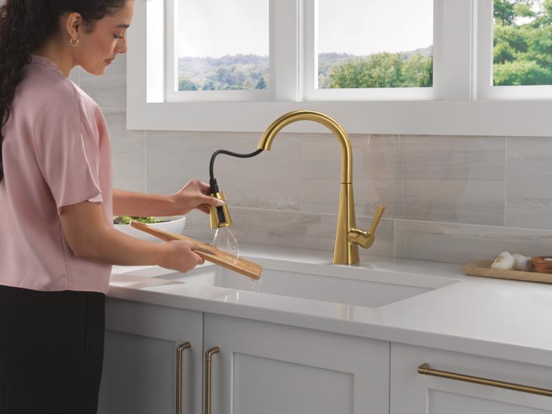 DELTA Lenta Single-Handle Pull-Down Kitchen Faucet — Brushed Gold