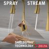 DELTA Lenta Single-Handle Pull-Down Kitchen Faucet — Brushed Gold