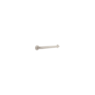 DELTA 1-1/2" x 24" Grab Bar, Concealed Mounting — Stainless