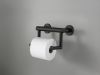 DELTA BathSafety DELTA Contemporary Tissue Holder with Assist Bar — Matte Black