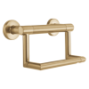 DELTA BathSafety Contemporary Tissue Holder with Assist Bar — Champagne Bronze