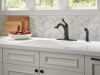 DELTA Linden Single Handle Kitchen Faucet with Spray — Venetian Bronze