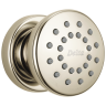Polished Nickel