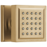 Champagne Bronze