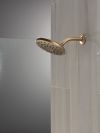 DELTA Universal Showering Components PivotPro Raincan Shower Head — Lumicoat® Champagne Bronze