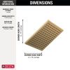 DELTA Universal Showering Components Single-Setting Metal Raincan Shower Head — Lumicoat® Champagne Bronze