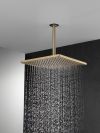 DELTA Universal Showering Components Single-Setting Metal Raincan Shower Head — Champagne Bronze
