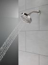DELTA Universal Showering Components 5-Setting Showerhead — Stainless