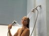 DELTA Universal Showering Components Wall Mount Shower Arm & Flange — Stainless