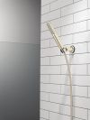 DELTA Universal Showering Components 2-Setting Hand Shower with ProClean Spray – Wall Mount — Lumicoat® Polished Nickel