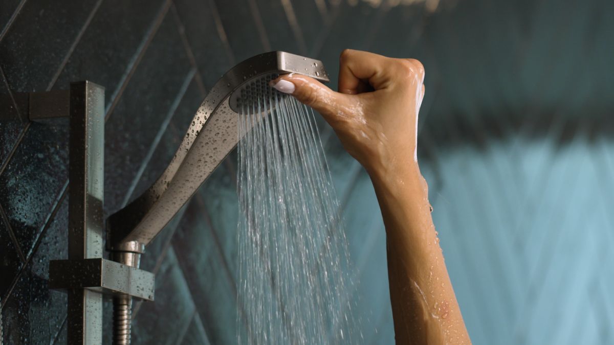 DELTA Dryden Premium Single-Setting Slide Bar Hand Shower — Stainless
