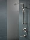 DELTA Pivotal Monitor 17 Series Valve Only Trim — Lumicoat® Stainless