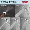 DELTA Universal Showering Components 5-Setting In2ition with ProClean — Chrome