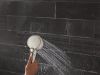 DELTA Universal Showering Components 5-Setting In2ition with ProClean — Stainless