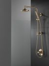 DELTA Trinsic Monitor 17 Series Valve Only Trim — Champagne Bronze