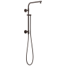Venetian Bronze