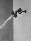 DELTA Clarifi Premium Shower Filter Attachment — Matte Black