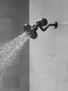 DELTA Clarifi Premium Shower Filter Attachment — Matte Black