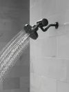 DELTA Clarifi Premium Shower Filter Attachment — Matte Black
