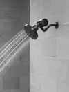 DELTA Clarifi Premium Shower Filter Attachment — Matte Black