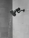 DELTA Clarifi Premium Shower Filter Attachment — Matte Black