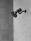DELTA Clarifi Premium Shower Filter Attachment — Matte Black