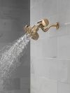 DELTA Clarifi Premium Shower Filter Attachment — Champagne Bronze