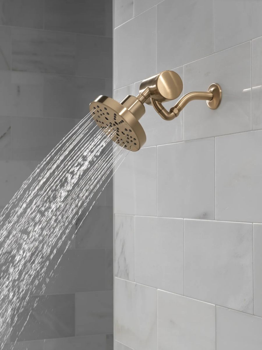 DELTA Clarifi Premium Shower Filter Attachment — Champagne Bronze