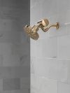 DELTA Clarifi Premium Shower Filter Attachment — Champagne Bronze