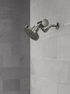 DELTA Clarifi Premium Shower Filter Attachment — Black Stainless