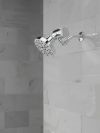 DELTA Clarifi Premium Shower Filter Attachment — Chrome