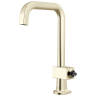 Polished Nickel