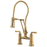 Polished Gold