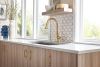 BRIZO Rook Pull-Down Faucet — Polished Gold