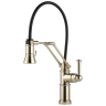 Polished Nickel