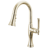 Polished Nickel