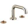 Polished Nickel