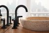 BRIZO Jason Wu for BRIZO Widespread Lavatory Faucet - Less Handles — Matte Black