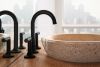 BRIZO Jason Wu for BRIZO Widespread Lavatory Faucet - Less Handles — Matte Black