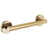 Polished Gold