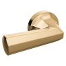 Polished Gold