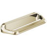 Polished Nickel