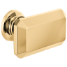 Polished Gold
