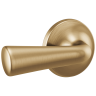 Champagne Bronze